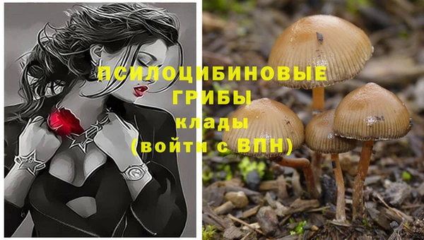 мдпв Ахтубинск