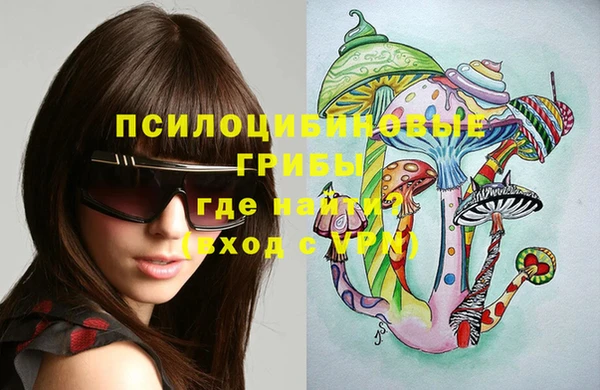 мет Анива