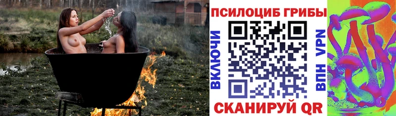 OMG как войти  Гаджиево  Псилоцибиновые грибы Psilocybine cubensis 