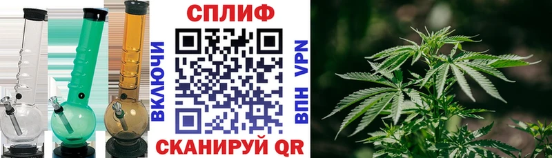 darknet телеграм  Гаджиево  мега маркетплейс  Бошки Шишки марихуана  даркнет сайт 